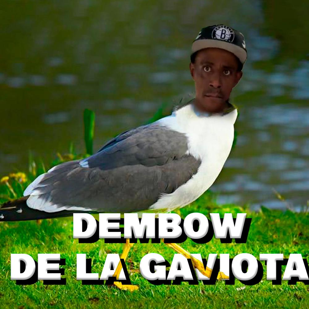 GAVIOTA / Y YO VUELO?