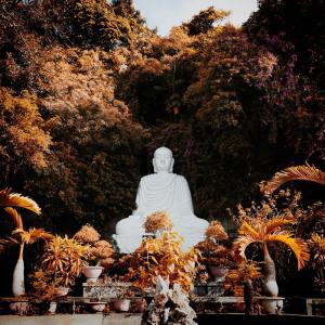 Listen to I Will Follow song with lyrics from SPA