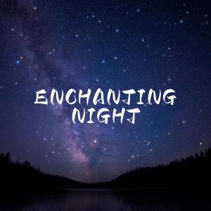 Album Enchanting Night from MR.T
