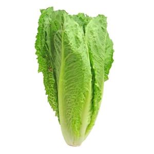 收聽jaur3的compra lechuga (feat. galin)歌詞歌曲