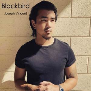 收聽Joseph Vincent的Blackbird歌詞歌曲