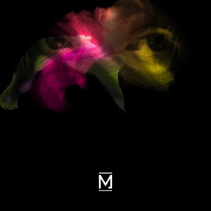 ดาวน์โหลดและฟังเพลง Before the End (Joone Remix) พร้อมเนื้อเพลงจาก Hamoon