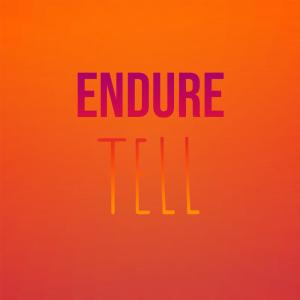 อัลบัม Endure Tell ศิลปิน Various