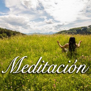 Album Meditación from 
