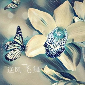 收听曹芙嘉的逆風飛舞歌词歌曲