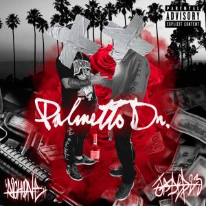 อัลบัม Palmetto Dr. (Explicit) ศิลปิน RichOne