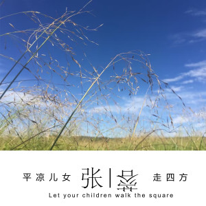 收聽張蓉的平涼兒女走四方歌詞歌曲