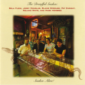 ดาวน์โหลดและฟังเพลง In Despair พร้อมเนื้อเพลงจาก The Dreadful Snakes