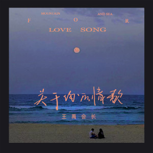 王禹會長的專輯關於你的情歌