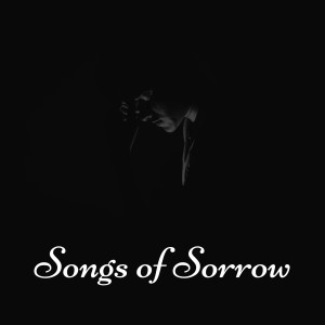 Listen to Saddest Song of Sorrow song with lyrics from Relax α Wave