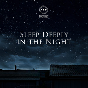 Deep Sleep Hypnosis Masters的专辑Sleep Deeply in the Night (Calming Sounds, Midnight Sleep Spells)