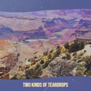 Album Two Kinds of Teardrops oleh Silvia Natiello-Spiller