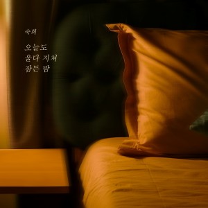 收听淑熙的오늘도 울다 지쳐 잠든 밤 (The night I cried and fell asleep) (Inst.)歌词歌曲