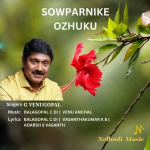 Listen to Mannathikkili Male Version song with lyrics from Santhosh Raj