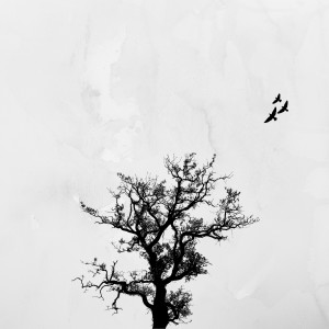 ดาวน์โหลดและฟังเพลง Utopia พร้อมเนื้อเพลงจาก Earth Jones