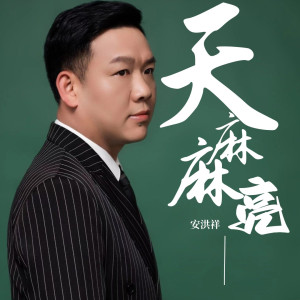 Album 天麻麻亮 from 