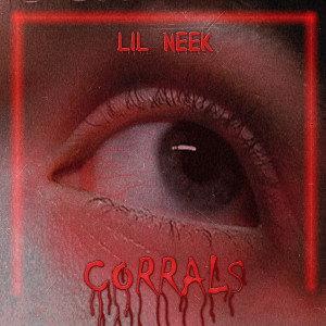 Listen to Девчонка song with lyrics from Lil Neek
