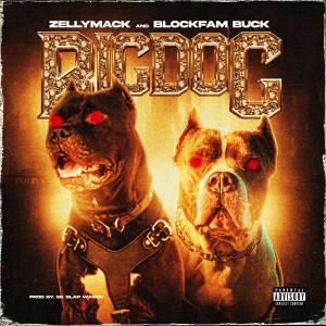 ZellyMack的專輯Big Dog (feat. Blockfam Buck) [Explicit]