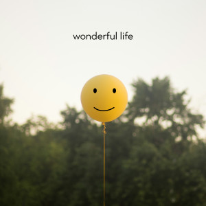 收聽Micheal Royal的Wonderful Life歌詞歌曲