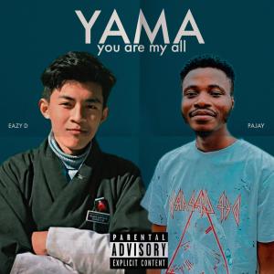 收聽PaJay的WAYO (Bonus Track) (feat. Young Tripper)歌詞歌曲