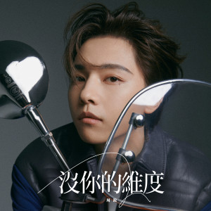 Listen to 没你的维度 song with lyrics from 周锐