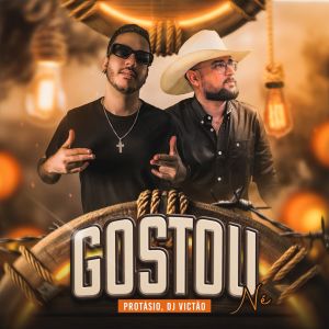 Album Gostou, Né? from Protasio