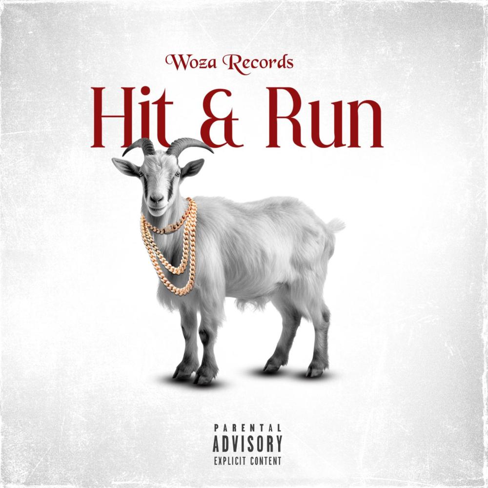 Hit & Run (feat. Woza Zakes)