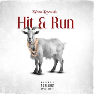 收聽Woza Logan的Hit & Run (feat. Woza Zakes)歌詞歌曲