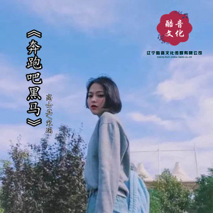 Album 奔跑吧黑马 oleh 宋瑞