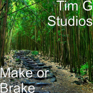 Listen to Make or Brake song with lyrics from Tim G Studios