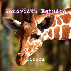 ดาวน์โหลดและฟังเพลง Jirafa พร้อมเนื้อเพลงจาก Sonoridub