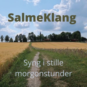 ดาวน์โหลดและฟังเพลง Syng i stille morgonstunder พร้อมเนื้อเพลงจาก SalmeKlang