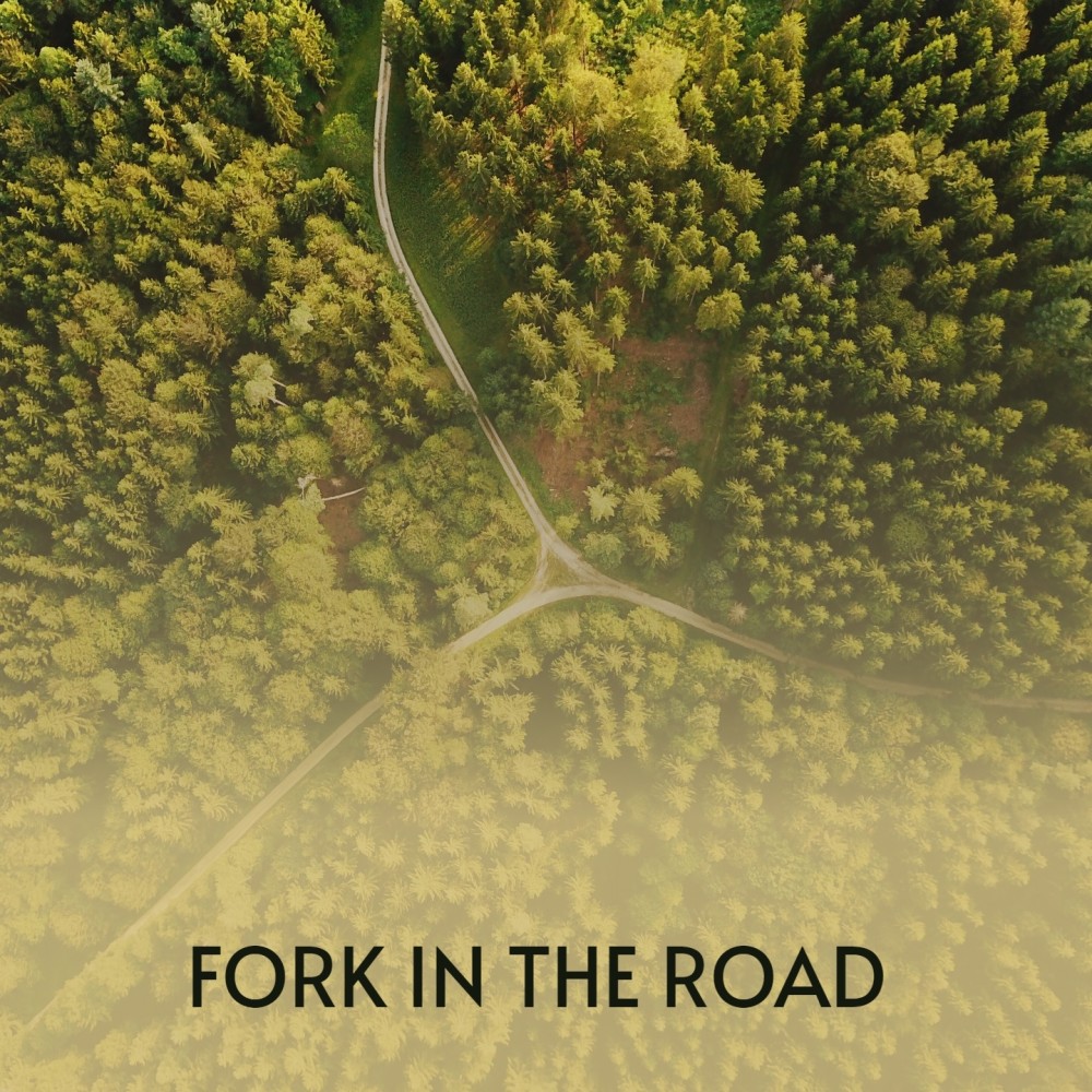 Fork in the Road