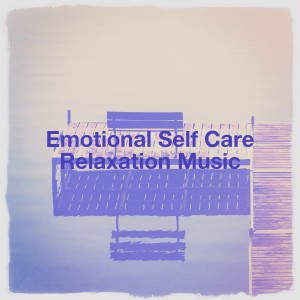 Album Emotional Self Care Relaxation Music from Studying Music and Study Music