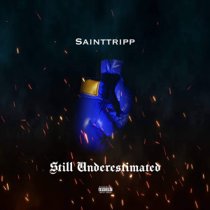 Sainttripp的专辑Still Underestimated (Explicit)