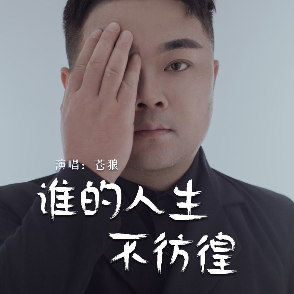 谁的人生不彷徨 (伴奏)