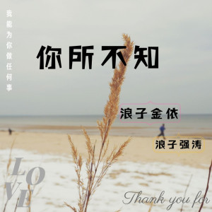 ดาวน์โหลดและฟังเพลง 你所不知 พร้อมเนื้อเพลงจาก 浪子金依