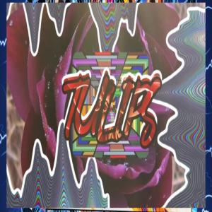 Album TULIPS (Explicit) from Abso Mesc