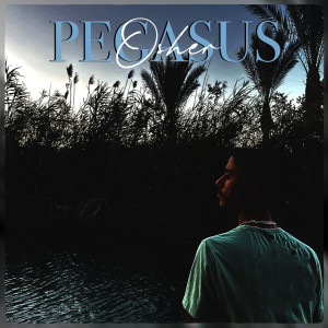 Album Pegasus oleh Osher