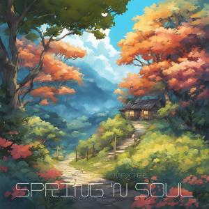 อัลบัม Spring 'n Soul (feat. Maxtre) ศิลปิน Loyy