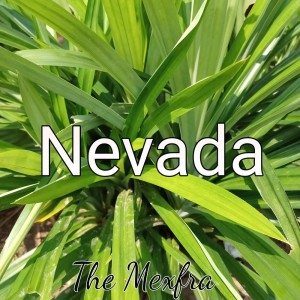 Album Nevada from The Mexfra