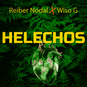 Listen to Helechos song with lyrics from Reiber Nodal