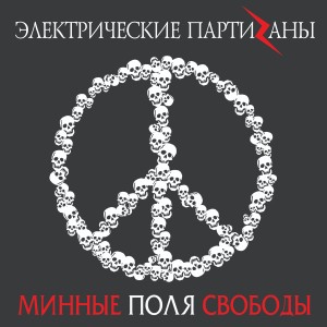 Listen to D.I.Y. song with lyrics from Электрические Партизаны