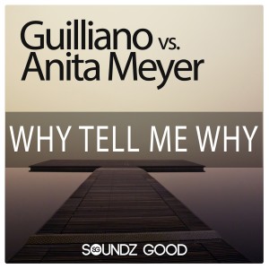 收聽Guilliano的Why Tell Me Why (Guilliano vs. Cj Stone Remix)歌詞歌曲
