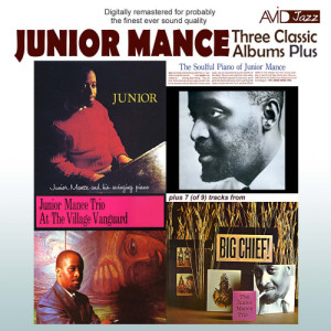 ดาวน์โหลดและฟังเพลง I Didn't Care (The Soulful Piano of Junior Mance) [Remastered] (Remastered) พร้อมเนื้อเพลงจาก Junior Mance