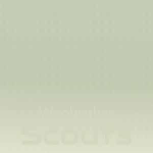 Listen to Bust Overlook song with lyrics from Eldo Scrt