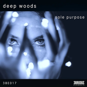 Deep Woods的專輯Sole Purpose