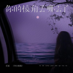 Album 你的棱角丢去哪了（DJ小胜版） oleh 任夏
