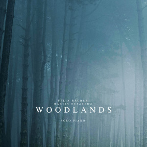 Felix Räuber的專輯Woodlands (Solo Piano)