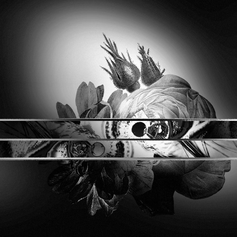 Still Sick (Bachiksma Remix)